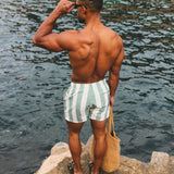 Pantalones de baño de secado rápido con estampado de rayas en Salvia/Blanco Roto